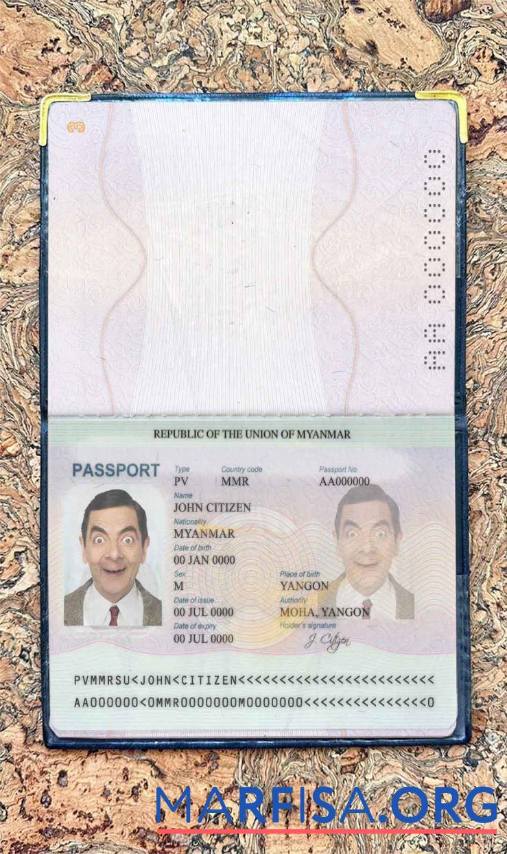 Blank Myanmar passport photo look real example